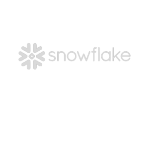 Snowflake logo data consulting company