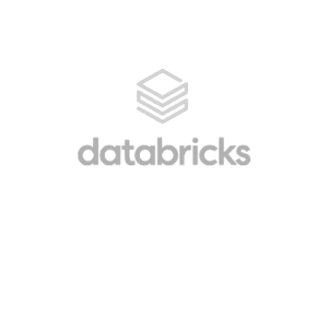 Databricks logo data consulting company