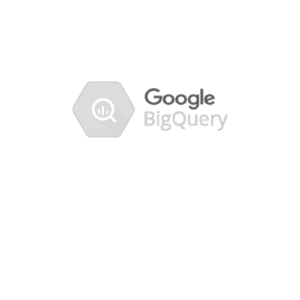 BigQuery logo data consulting company