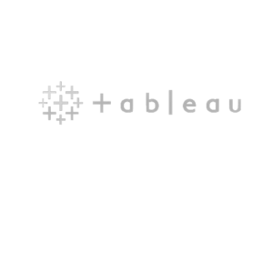 Tableau logo data consulting company
